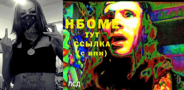 прущий лед Алзамай