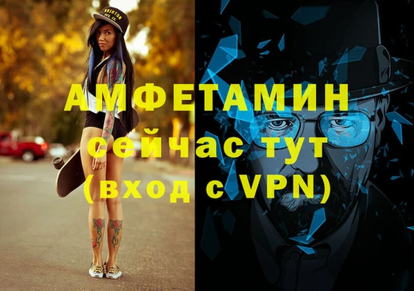 ешки Алексин