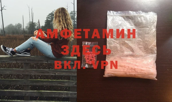 ешки Алексин