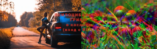 кокаин колумбия Алексеевка