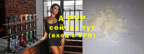 ешки Алексин